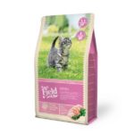 Sams Field Kitten