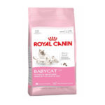 Royal Canin Baby Cat 34