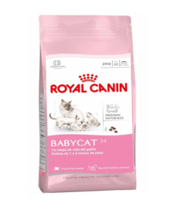Royal Canin Baby Cat 34