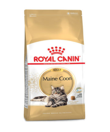 Royal Canin MaineCoon Adult