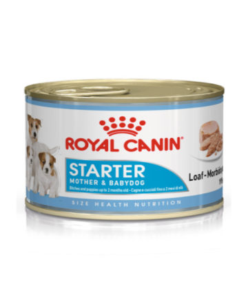 royal canin starter mousse 195gr