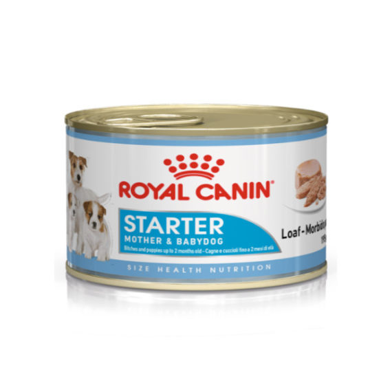 royal canin starter mousse 195gr